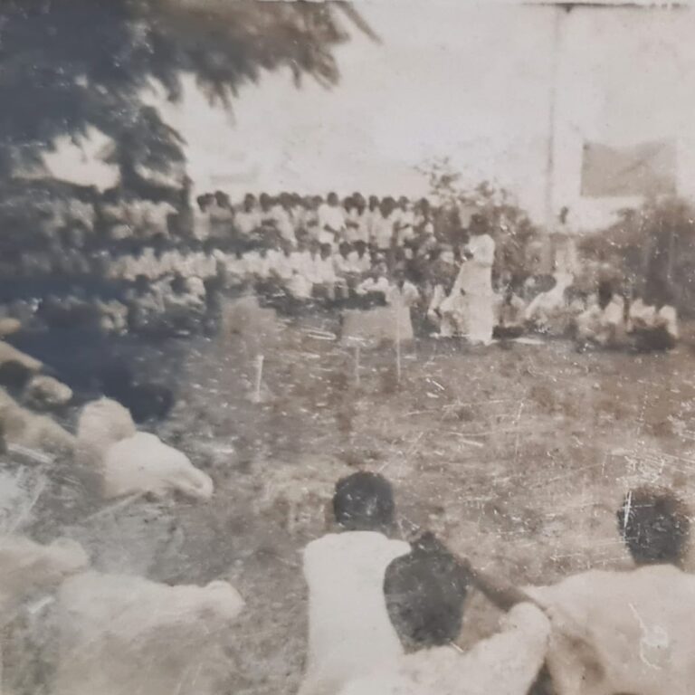 WhatsApp Image 2025-03-20 at 11.22.25 PM